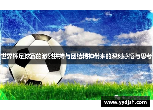 世界杯足球赛的激烈拼搏与团结精神带来的深刻感悟与思考