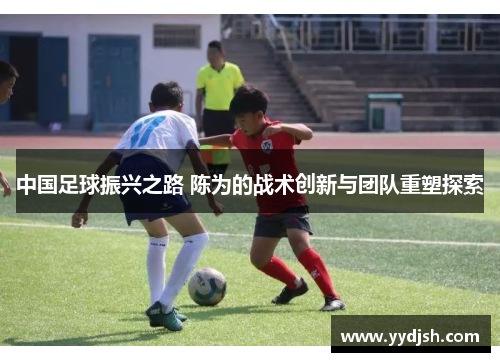 中国足球振兴之路 陈为的战术创新与团队重塑探索